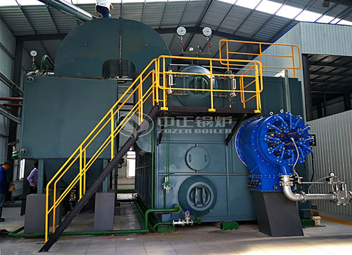 河南25噸SZS冷凝式燃?xì)庹羝仩t項(xiàng)目